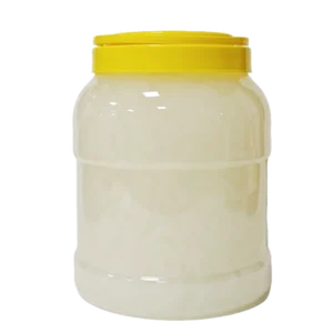 Coconut Flavor Nata De Coco